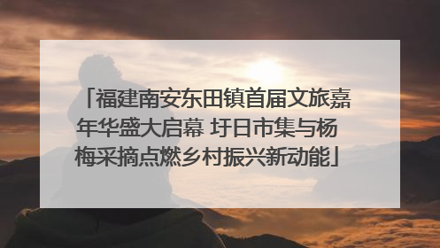 福建南安东田镇首届文旅嘉年华盛大启幕 圩日市集与杨梅采摘点燃乡村振兴新动能