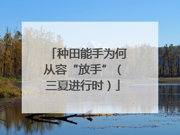 种田能手为何从容“放手”（三夏进行时）