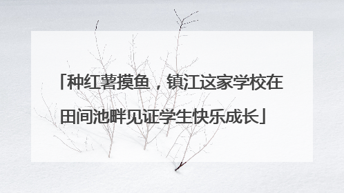 种红薯摸鱼，镇江这家学校在田间池畔见证学生快乐成长