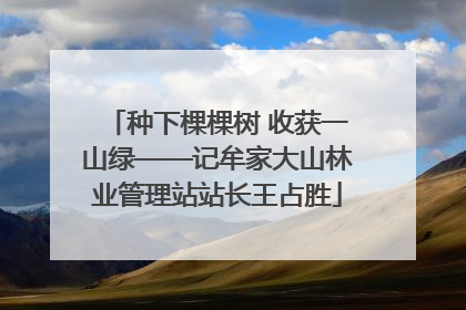 种下棵棵树 收获一山绿——记牟家大山林业管理站站长王占胜