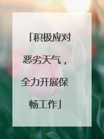 积极应对恶劣天气，全力开展保畅工作