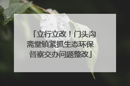 立行立改！门头沟斋堂镇紧抓生态环保督察交办问题整改