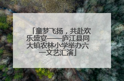童梦飞扬，共赴欢乐盛宴——庐江县同大镇农林小学举办六一文艺汇演