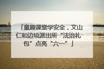 童趣课堂学安全，文山仁和边境派出所“法治礼包”点亮“六一”