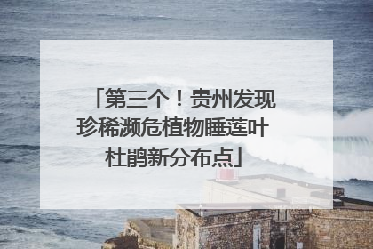 第三个！贵州发现珍稀濒危植物睡莲叶杜鹃新分布点