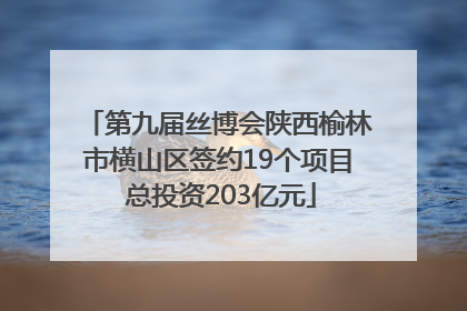 第九届丝博会陕西榆林市横山区签约19个项目 总投资203亿元