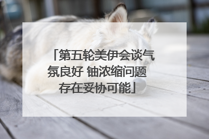 第五轮美伊会谈气氛良好 铀浓缩问题存在妥协可能
