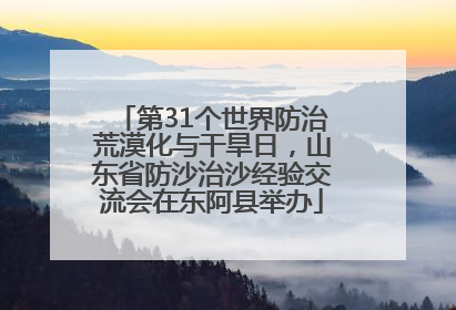 第31个世界防治荒漠化与干旱日，山东省防沙治沙经验交流会在东阿县举办