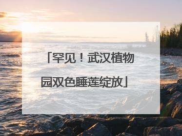 罕见！武汉植物园双色睡莲绽放