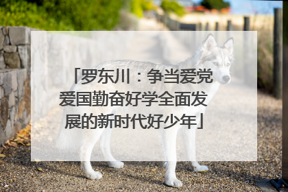 罗东川：争当爱党爱国勤奋好学全面发展的新时代好少年