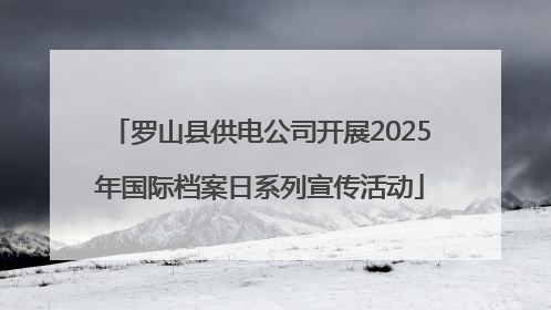 罗山县供电公司开展2025年国际档案日系列宣传活动