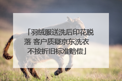 羽绒服送洗后印花脱落 客户质疑京东洗衣不按折旧标准赔偿