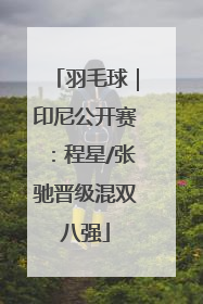 羽毛球｜印尼公开赛：程星/张驰晋级混双八强