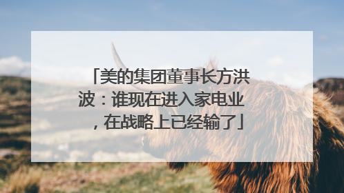 美的集团董事长方洪波：谁现在进入家电业，在战略上已经输了