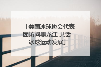 美国冰球协会代表团访问黑龙江 共话冰球运动发展