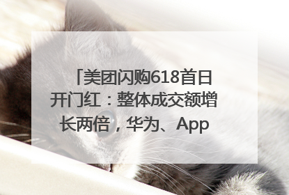 美团闪购618首日开门红：整体成交额增长两倍，华为、Apple、沃尔玛等近800个品牌翻倍增长