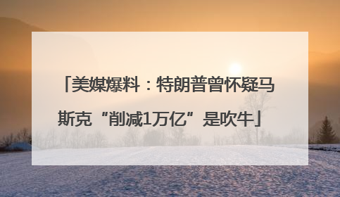 美媒爆料：特朗普曾怀疑马斯克“削减1万亿”是吹牛