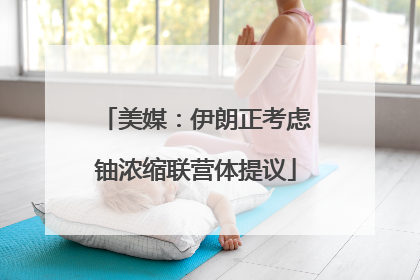 美媒：伊朗正考虑铀浓缩联营体提议