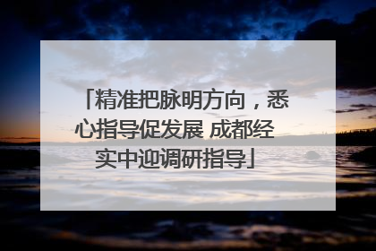 精准把脉明方向，悉心指导促发展 成都经实中迎调研指导