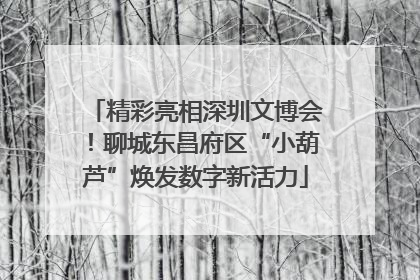 精彩亮相深圳文博会！聊城东昌府区“小葫芦”焕发数字新活力