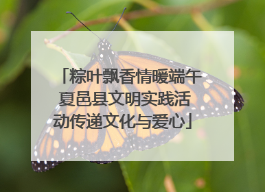 粽叶飘香情暖端午 夏邑县文明实践活动传递文化与爱心
