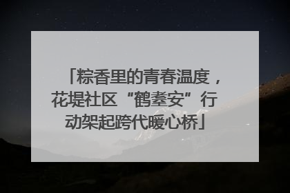 粽香里的青春温度，花堤社区“鹤耋安”行动架起跨代暖心桥