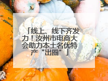 线上、线下齐发力！汝州市电商大会助力本土名优特产“出圈”