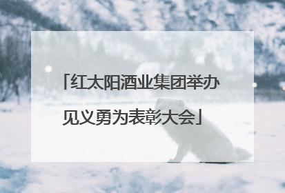 红太阳酒业集团举办见义勇为表彰大会