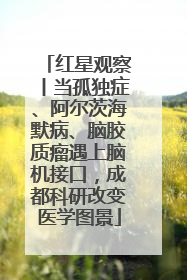 红星观察丨当孤独症、阿尔茨海默病、脑胶质瘤遇上脑机接口，成都科研改变医学图景