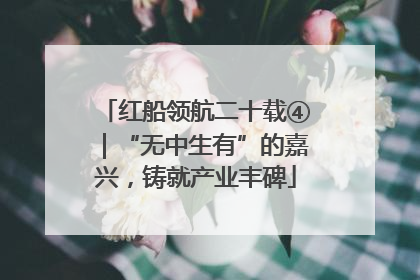 红船领航二十载④｜“无中生有”的嘉兴，铸就产业丰碑