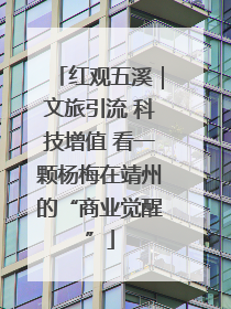 红观五溪｜文旅引流 科技增值 看一颗杨梅在靖州的“商业觉醒”