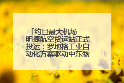 约旦最大机场——明捷航空货运站正式投运：罗地格工业自动化方案驱动中东物流未来新航向