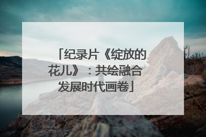 纪录片《绽放的花儿》：共绘融合发展时代画卷