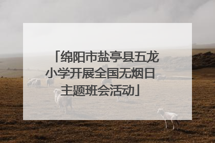 绵阳市盐亭县五龙小学开展全国无烟日主题班会活动