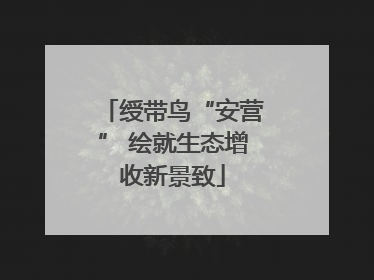 绶带鸟“安营” 绘就生态增收新景致