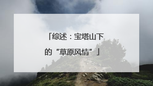 综述：宝塔山下的“草原风情”
