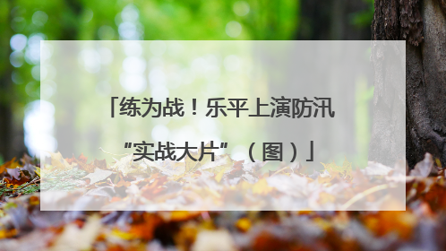 练为战！乐平上演防汛 “实战大片”（图）