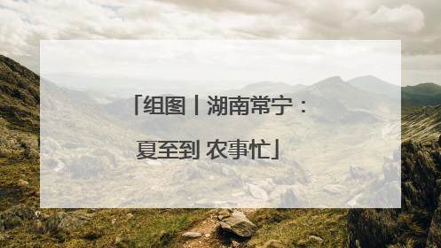 组图丨湖南常宁：夏至到 农事忙