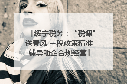 绥宁税务：“税课”送春风 三税政策精准辅导助企合规经营