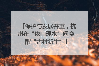 保护与发展并重，杭州在“依山理水”间唤醒“古村新生”