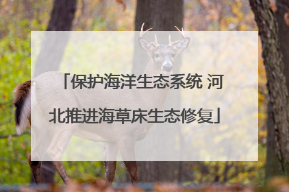保护海洋生态系统 河北推进海草床生态修复