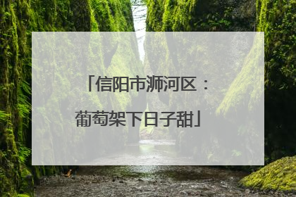 信阳市浉河区：葡萄架下日子甜