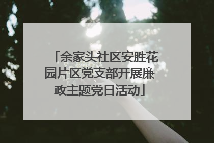 余家头社区安胜花园片区党支部开展廉政主题党日活动
