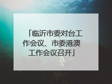 临沂市委对台工作会议、市委港澳工作会议召开