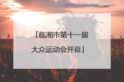 临湘市第十一届大众运动会开幕