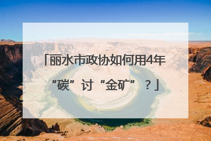 丽水市政协如何用4年“碳”讨“金矿”？