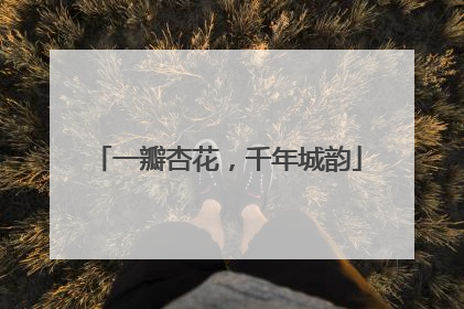 一瓣杏花，千年城韵