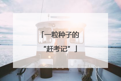 一粒种子的“赶考记”