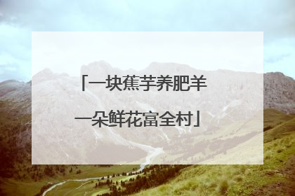 一块蕉芋养肥羊 一朵鲜花富全村