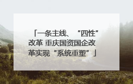 一条主线、“四性”改革 重庆国资国企改革实现“系统重塑”